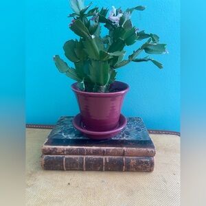 Vintage Brown Leather Marbleized French Book Set Victor Hugo TheodoreDe Banville